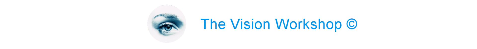 The vision workshop